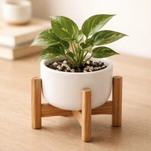 Flower Pot Stand